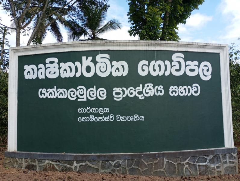 වෙළෙන්දාව වත්ත කෘෂිකාර්මික ගොවිපල